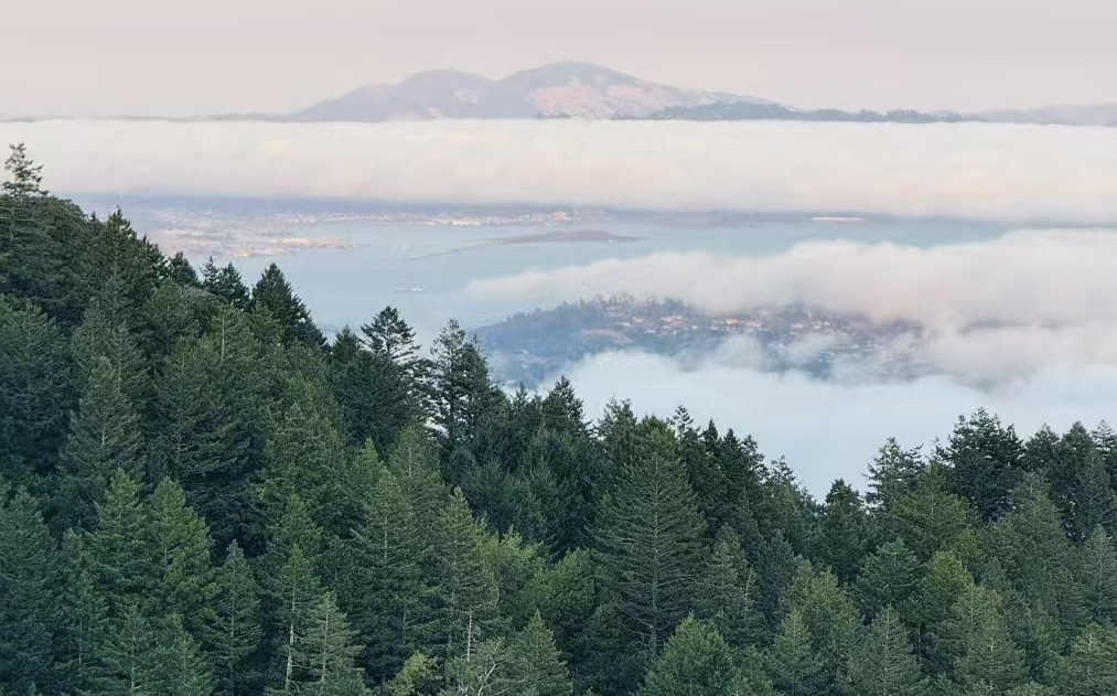 云海中的远山与林海